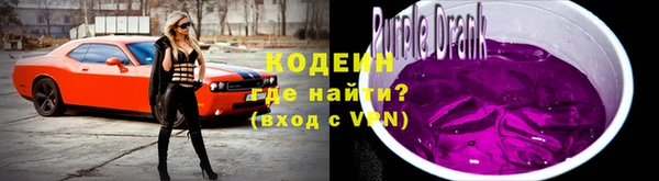 PSILOCYBIN Карталы
