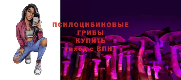 спиды Касимов