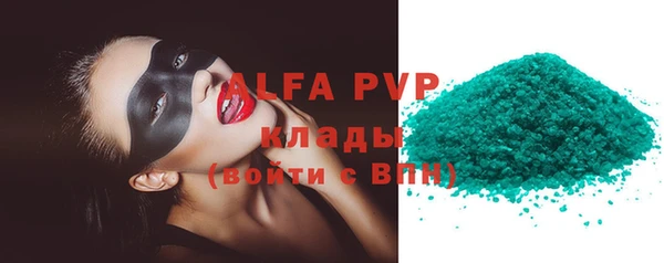 PSILOCYBIN Карталы