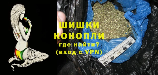 PSILOCYBIN Карталы
