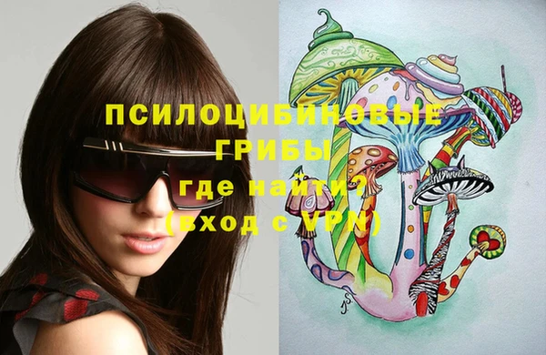 спиды Касимов