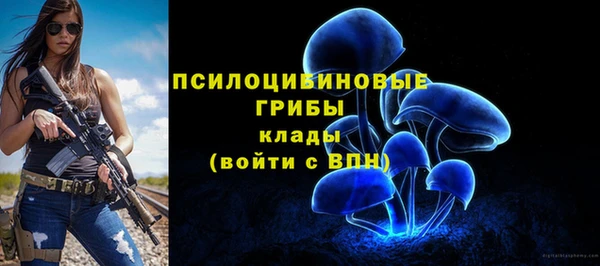 спиды Касимов