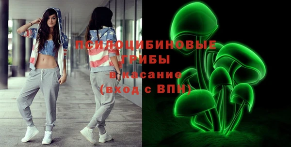 PSILOCYBIN Карталы