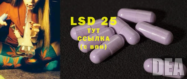 спиды Касимов