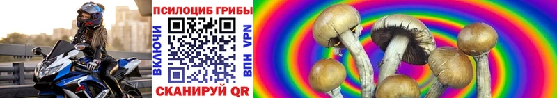 Псилоцибиновые грибы ЛСД  Купить  Заводоуковск 